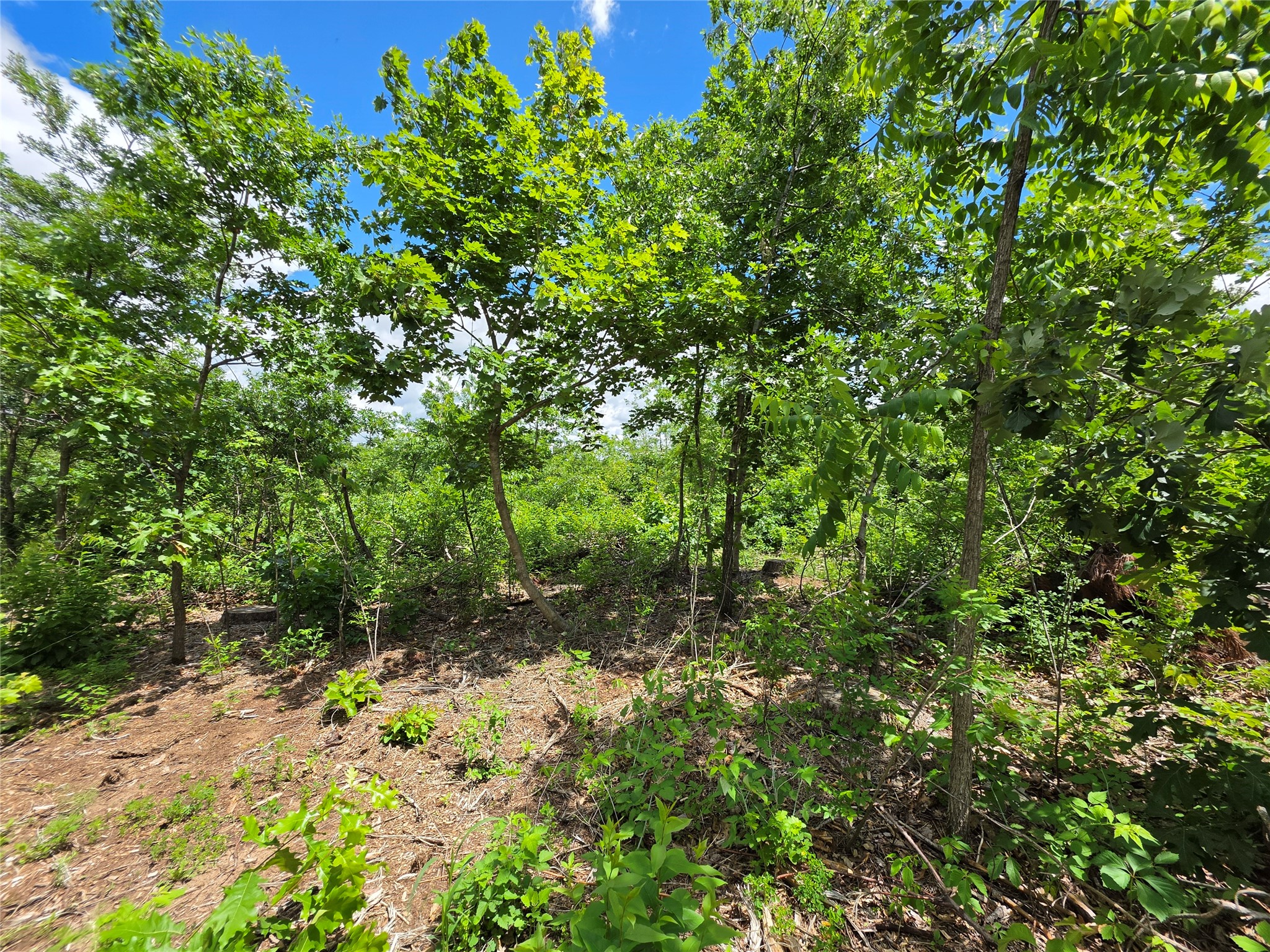 Lot 7 & 8 370th Avenue Elk Mound WI 54739 1601390 image12