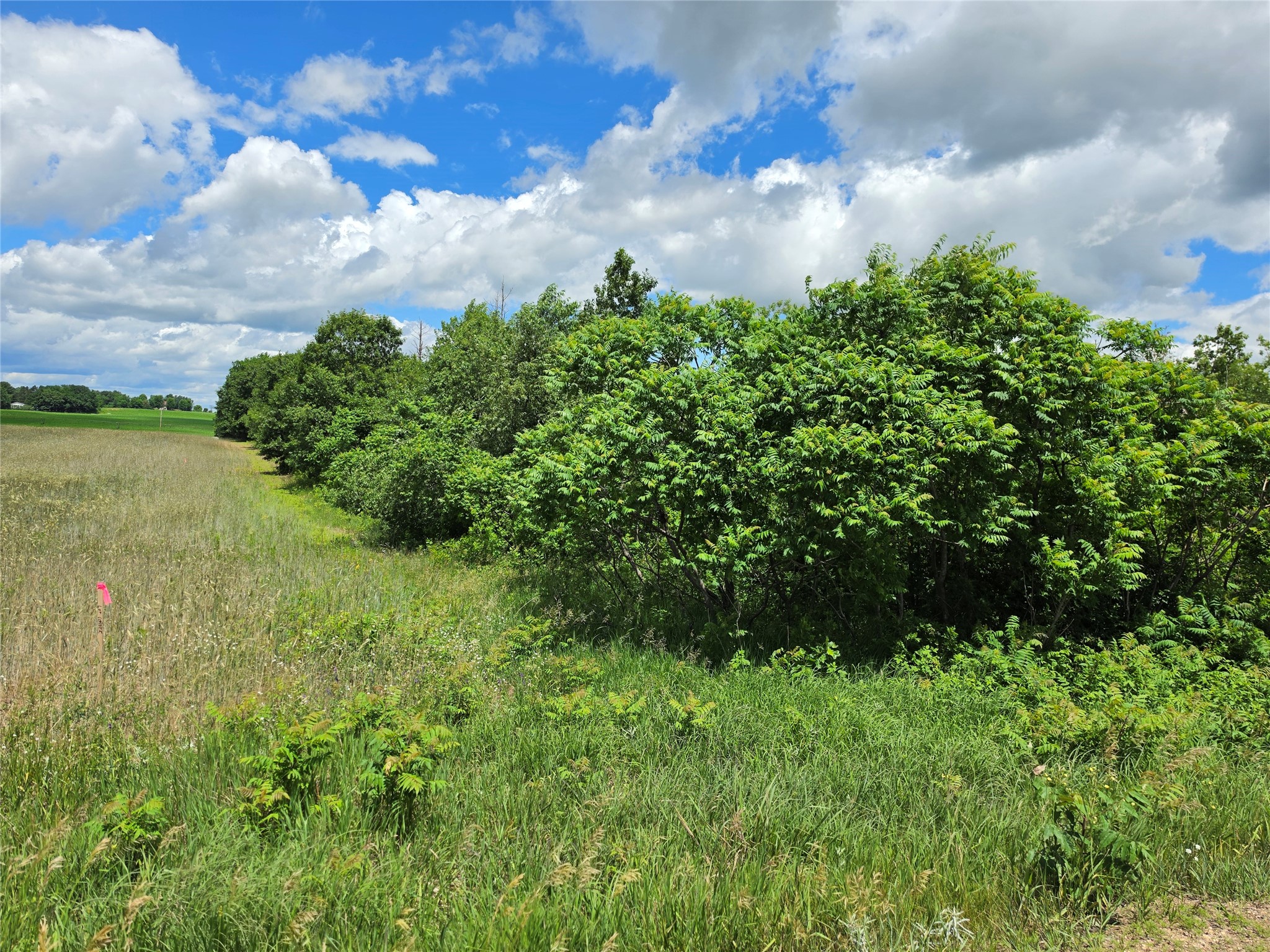 Lot 7 & 8 370th Avenue Elk Mound WI 54739 1601390 image14