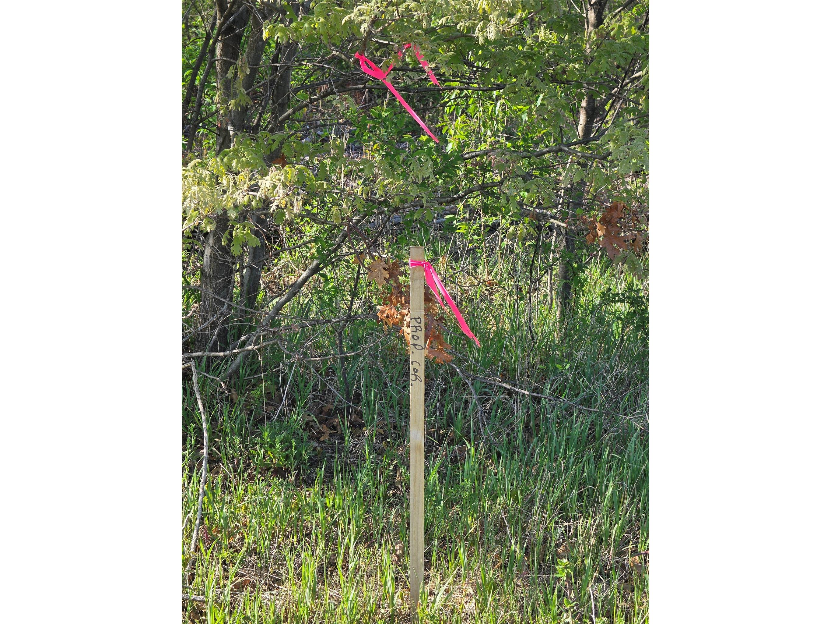 Lot 7 & 8 370th Avenue Elk Mound WI 54739 1601390 image17