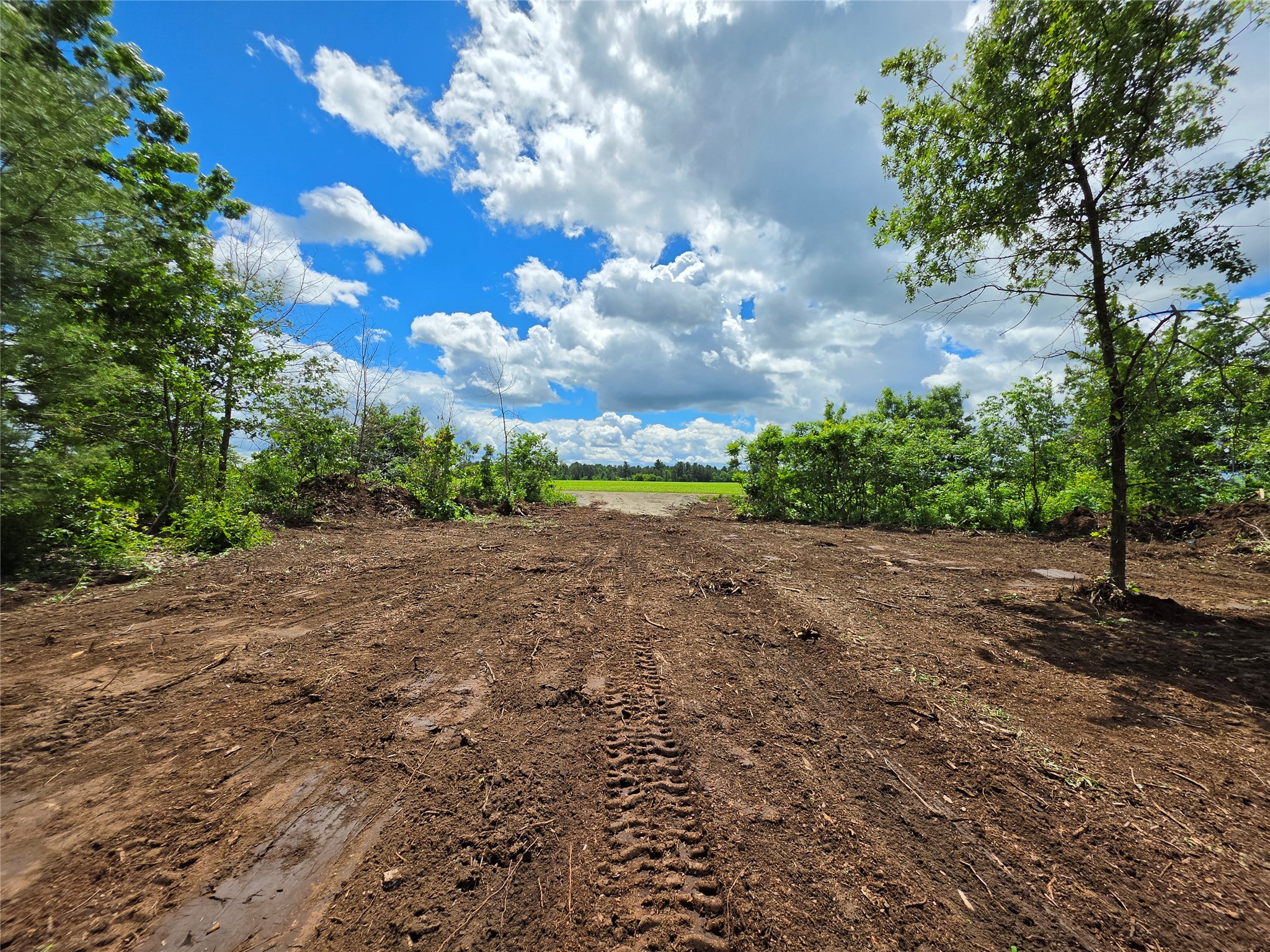 Lot 7 & 8 370th Avenue Elk Mound WI 54739 1601390 image2