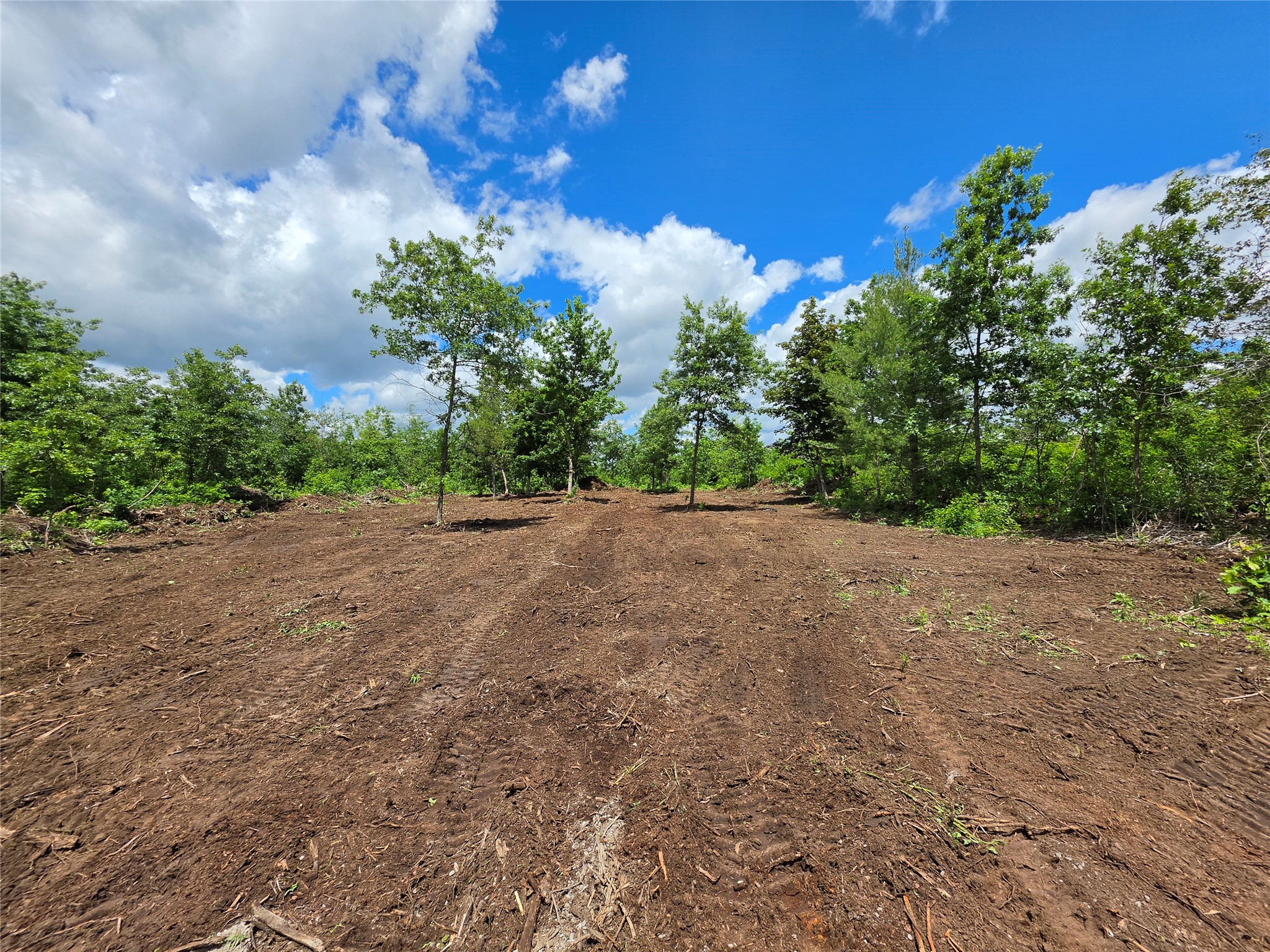 Lot 7 & 8 370th Avenue Elk Mound WI 54739 1601390 image3