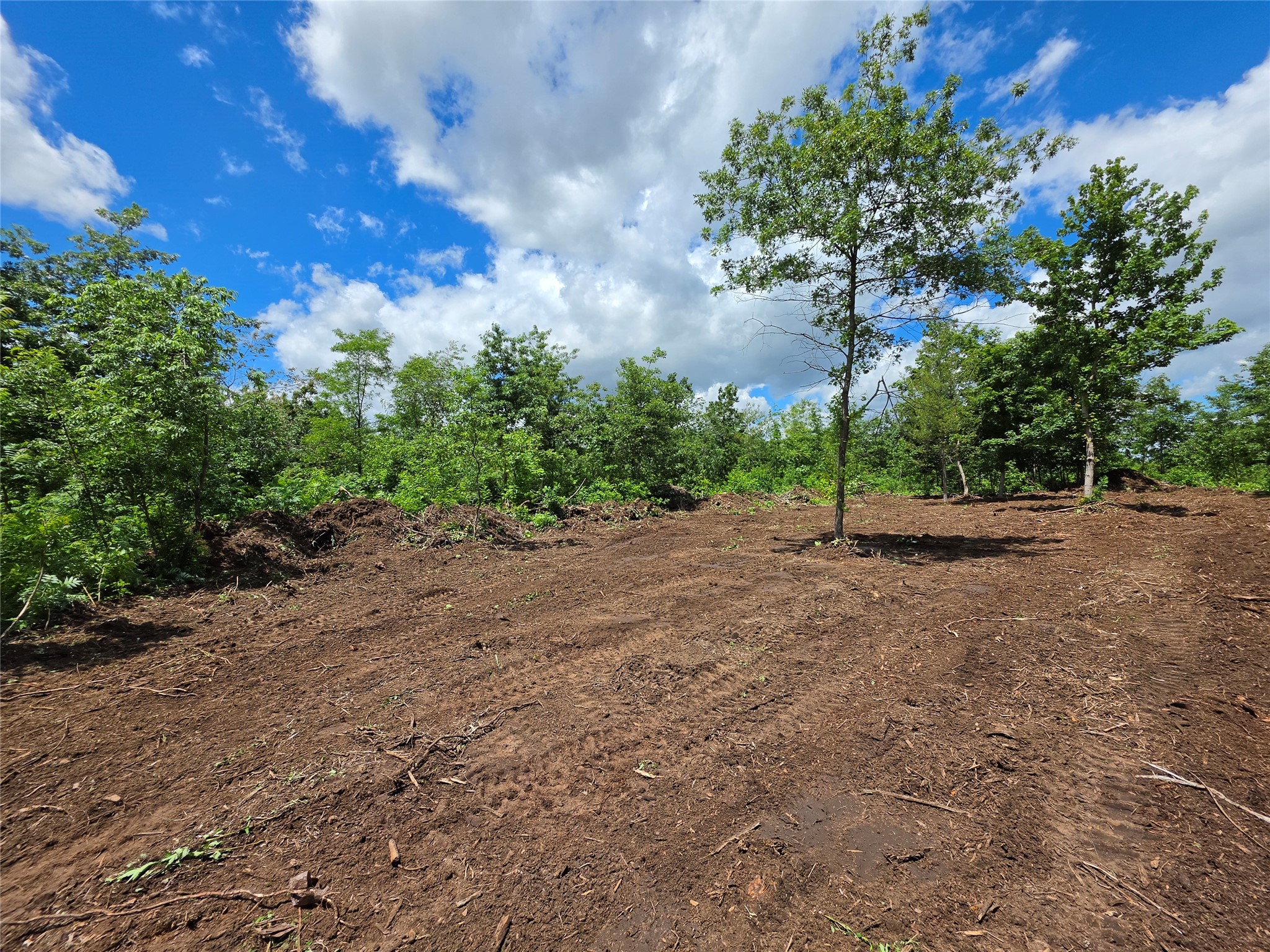 Lot 7 & 8 370th Avenue Elk Mound WI 54739 1601390 image4