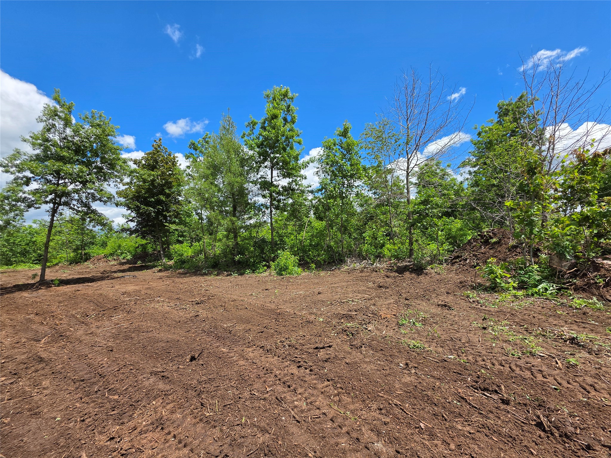 Lot 7 & 8 370th Avenue Elk Mound WI 54739 1601390 image5