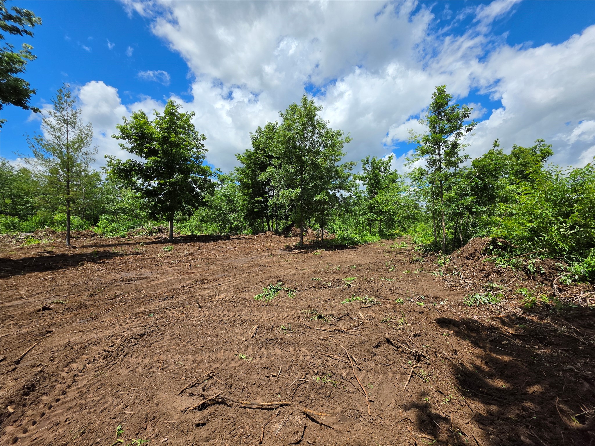 Lot 7 & 8 370th Avenue Elk Mound WI 54739 1601390 image6