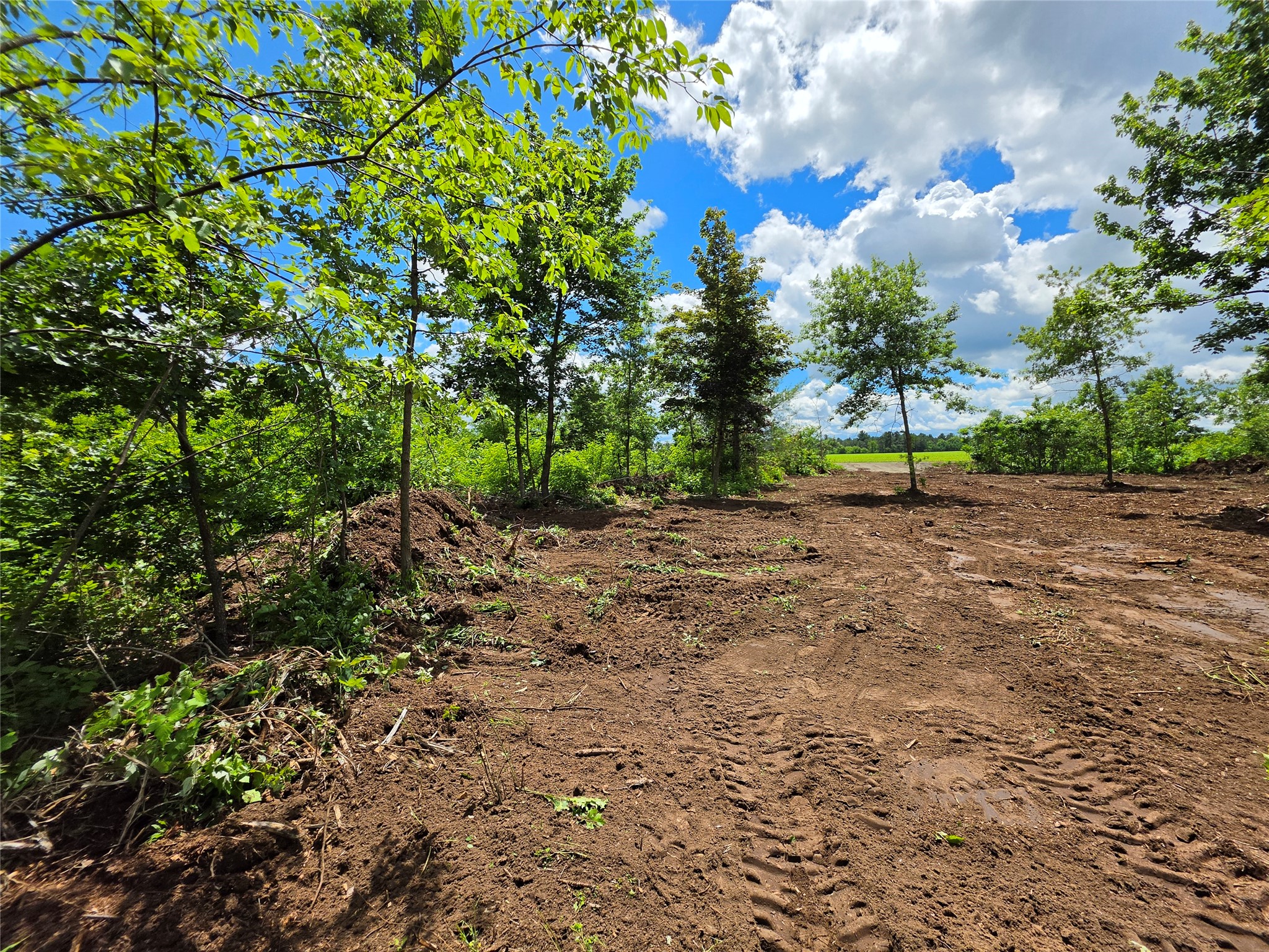 Lot 7 & 8 370th Avenue Elk Mound WI 54739 1601390 image8