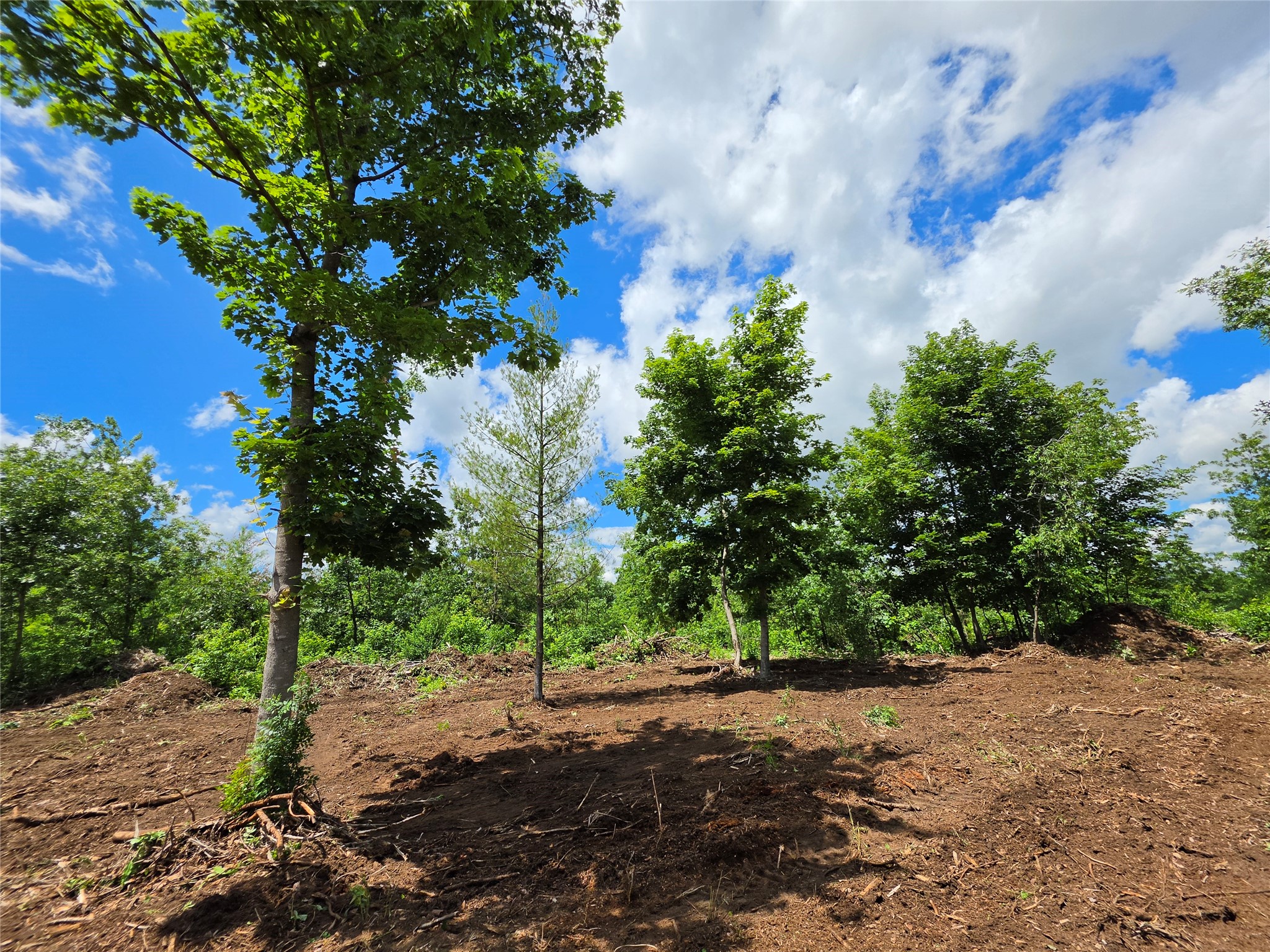Lot 7 & 8 370th Avenue Elk Mound WI 54739 1601390 image9