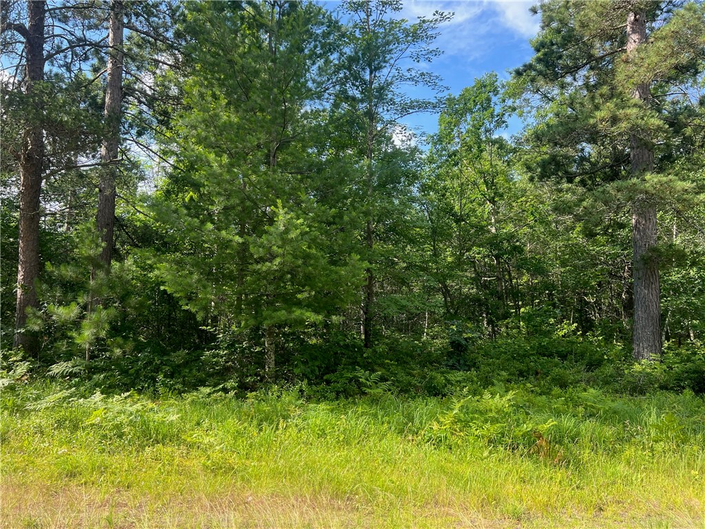 Lot 7 Bay Drive Danbury WI 54830 1585810 image15