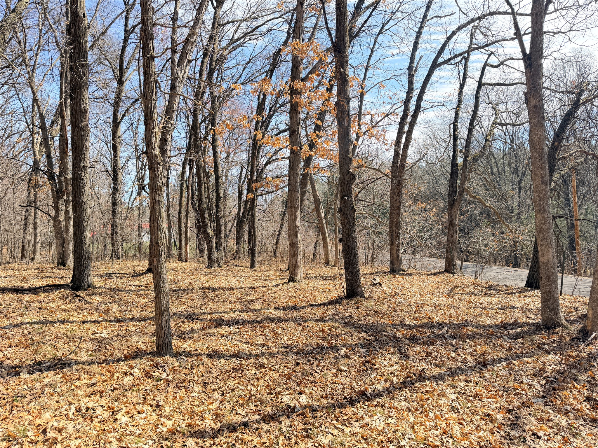 Lot 7 Big Lake Drive Osceola WI 54020 1599901 image1