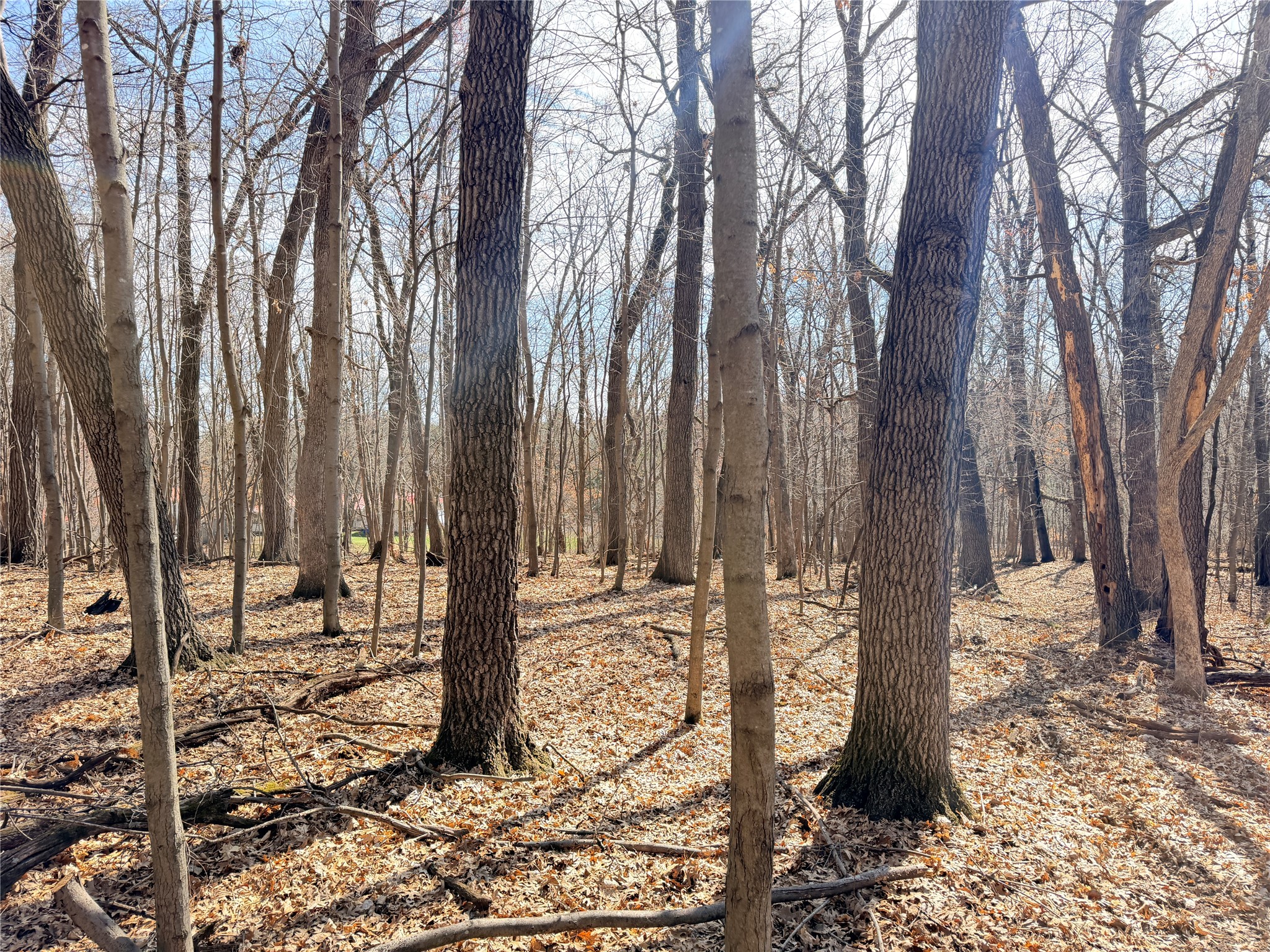 Lot 7 Big Lake Drive Osceola WI 54020 1599901 image10