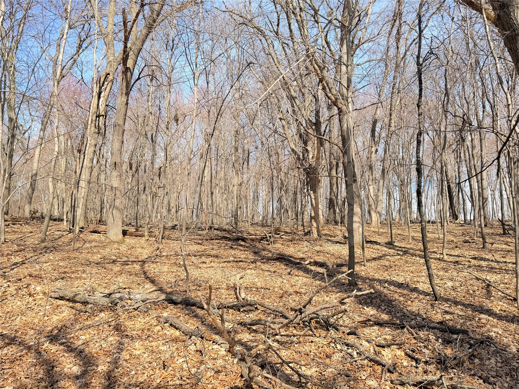 Lot 7 Big Lake Drive Osceola WI 54020 1599901 image11