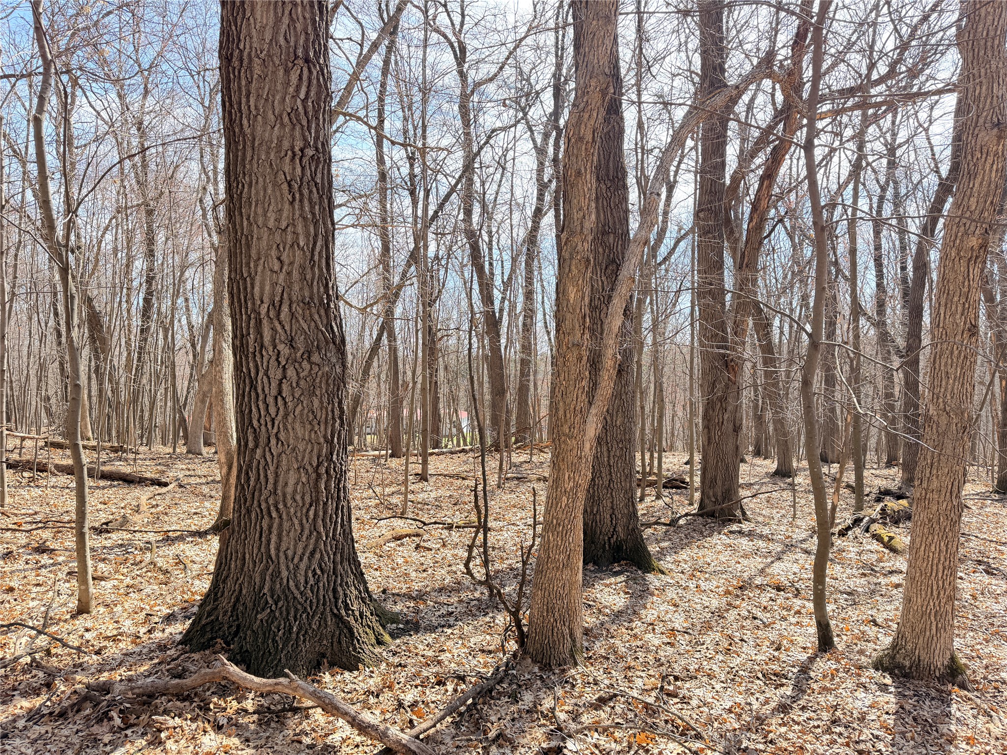 Lot 7 Big Lake Drive Osceola WI 54020 1599901 image12