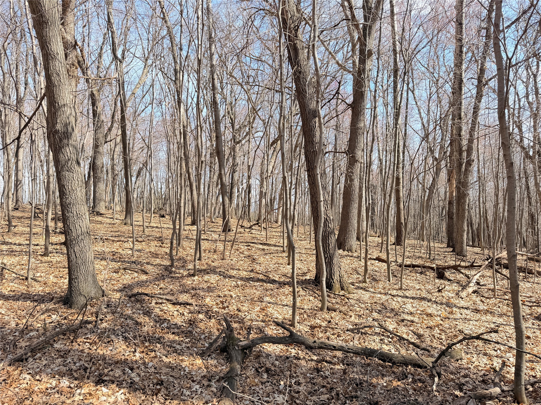 Lot 7 Big Lake Drive Osceola WI 54020 1599901 image13