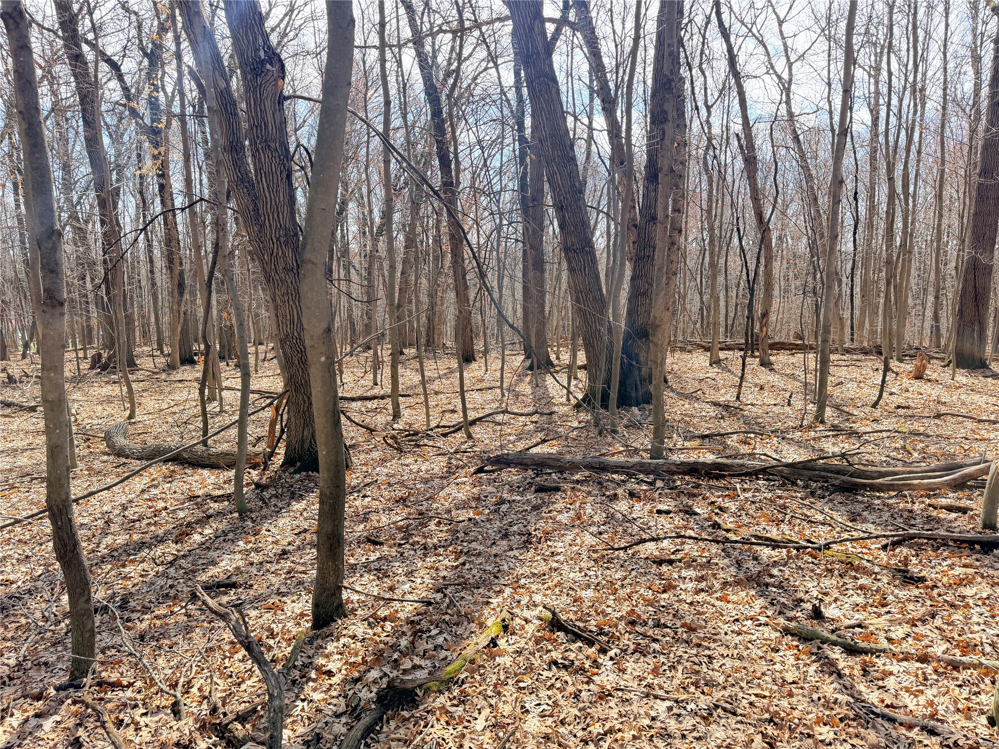 Lot 7 Big Lake Drive Osceola WI 54020 1599901 image14