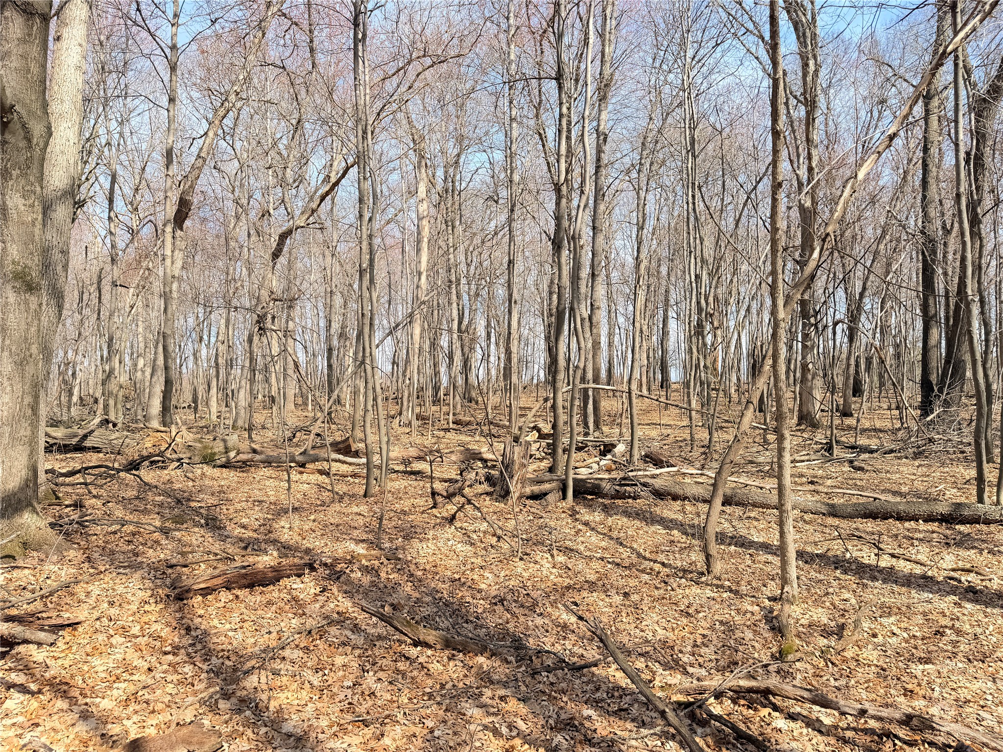 Lot 7 Big Lake Drive Osceola WI 54020 1599901 image15