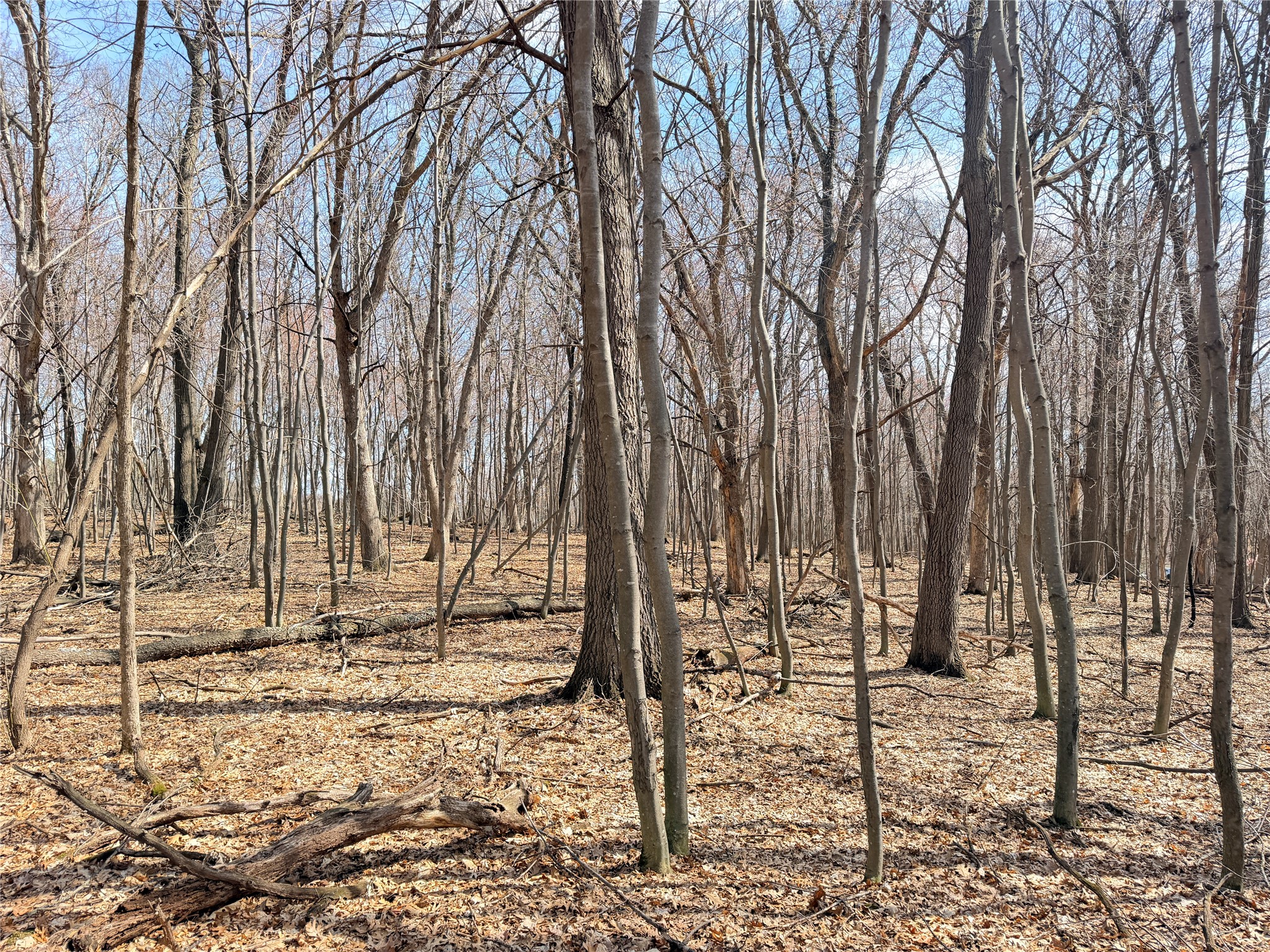 Lot 7 Big Lake Drive Osceola WI 54020 1599901 image16