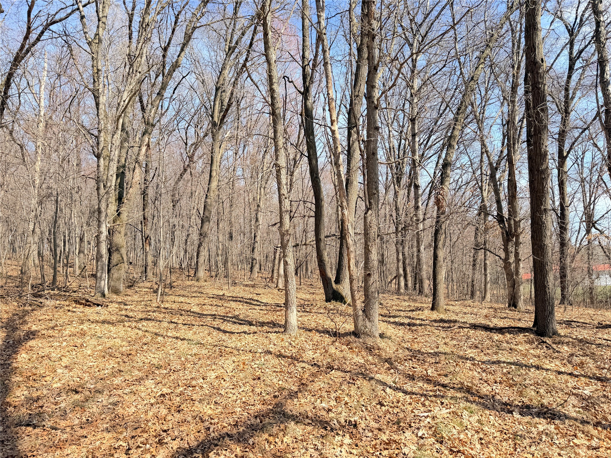 Lot 7 Big Lake Drive Osceola WI 54020 1599901 image2