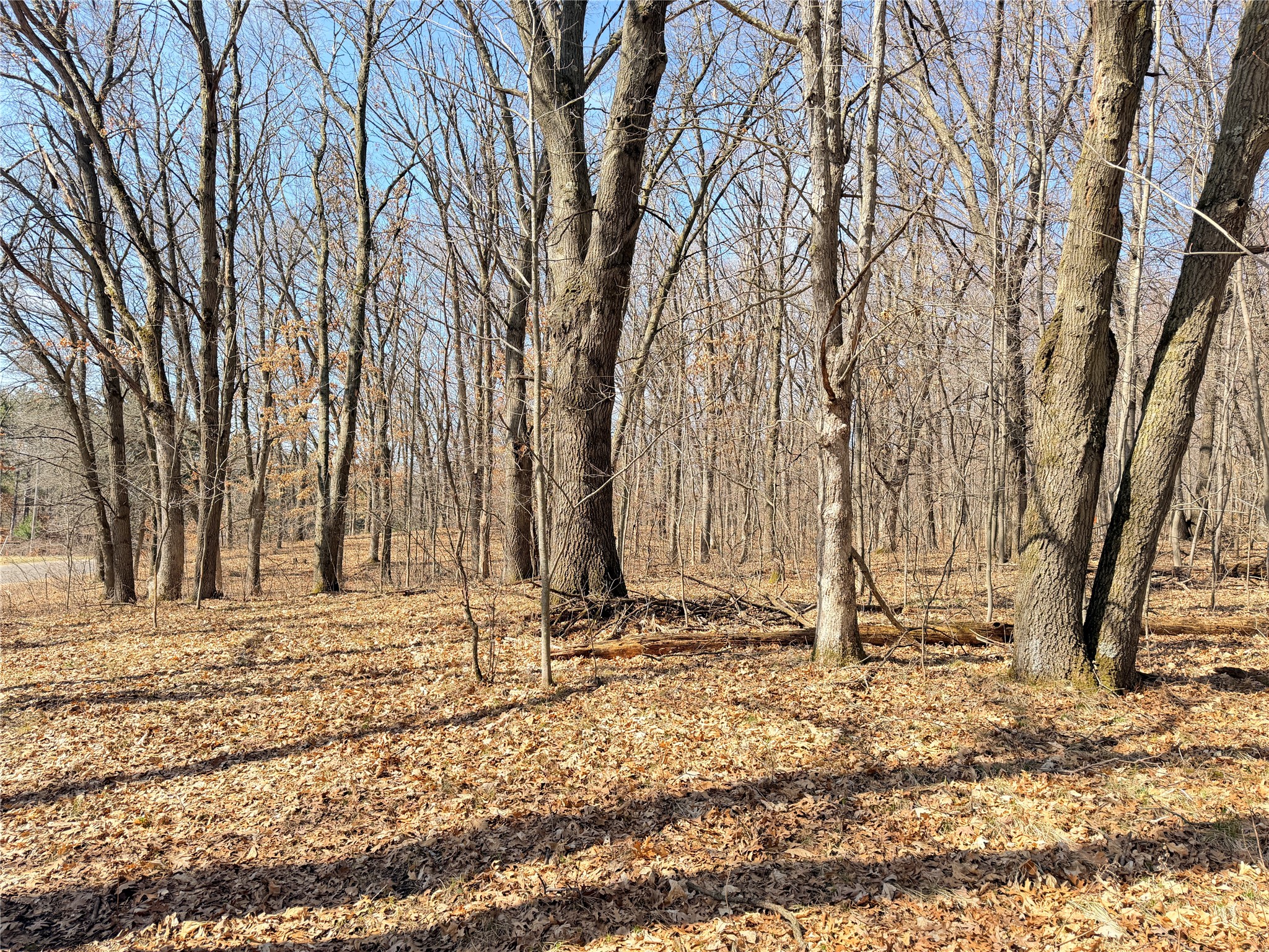 Lot 7 Big Lake Drive Osceola WI 54020 1599901 image3