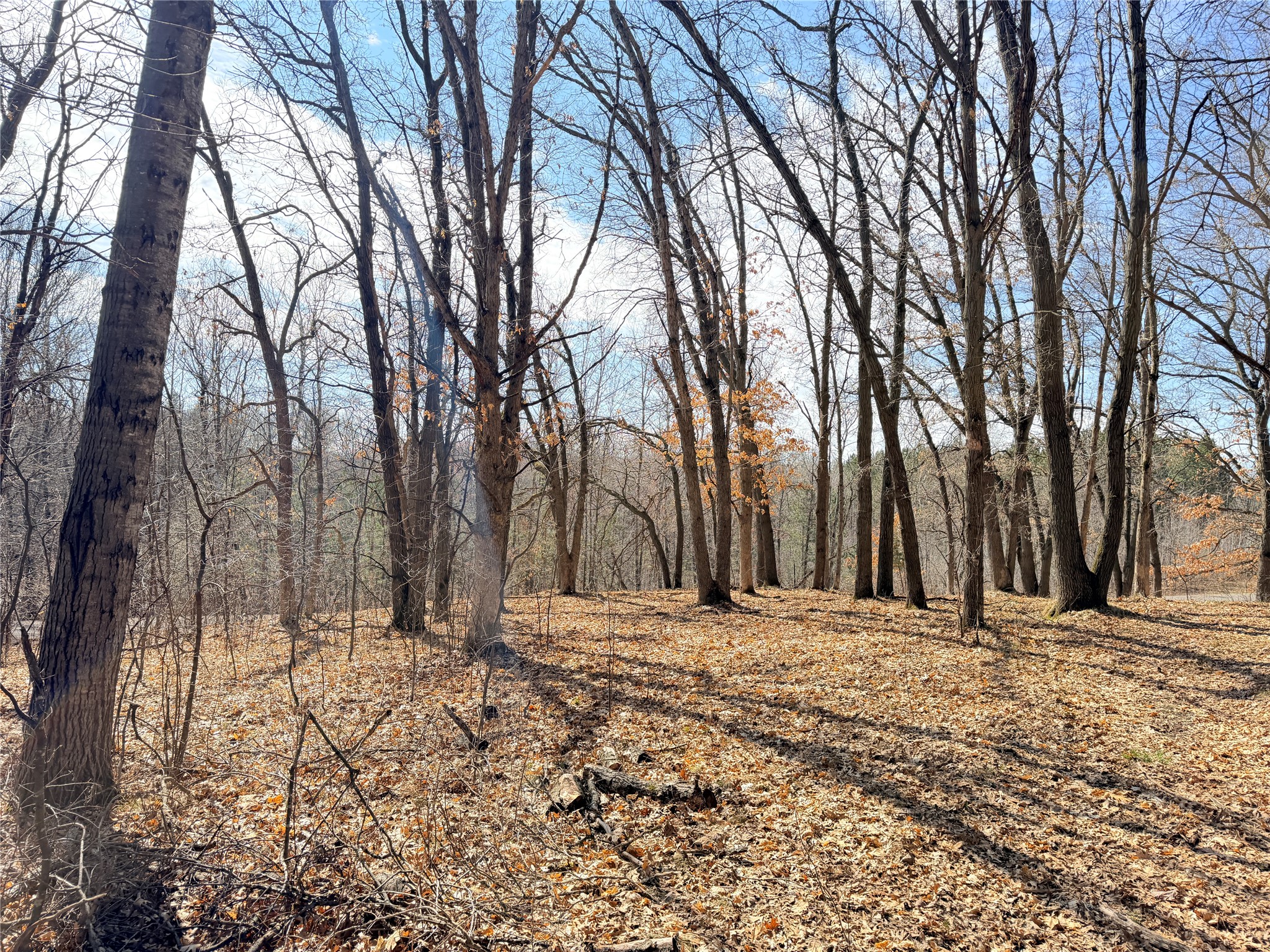 Lot 7 Big Lake Drive Osceola WI 54020 1599901 image4