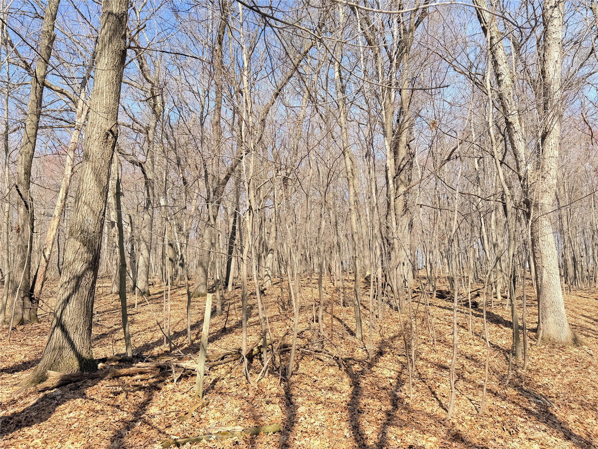 Lot 7 Big Lake Drive Osceola WI 54020 1599901 image5