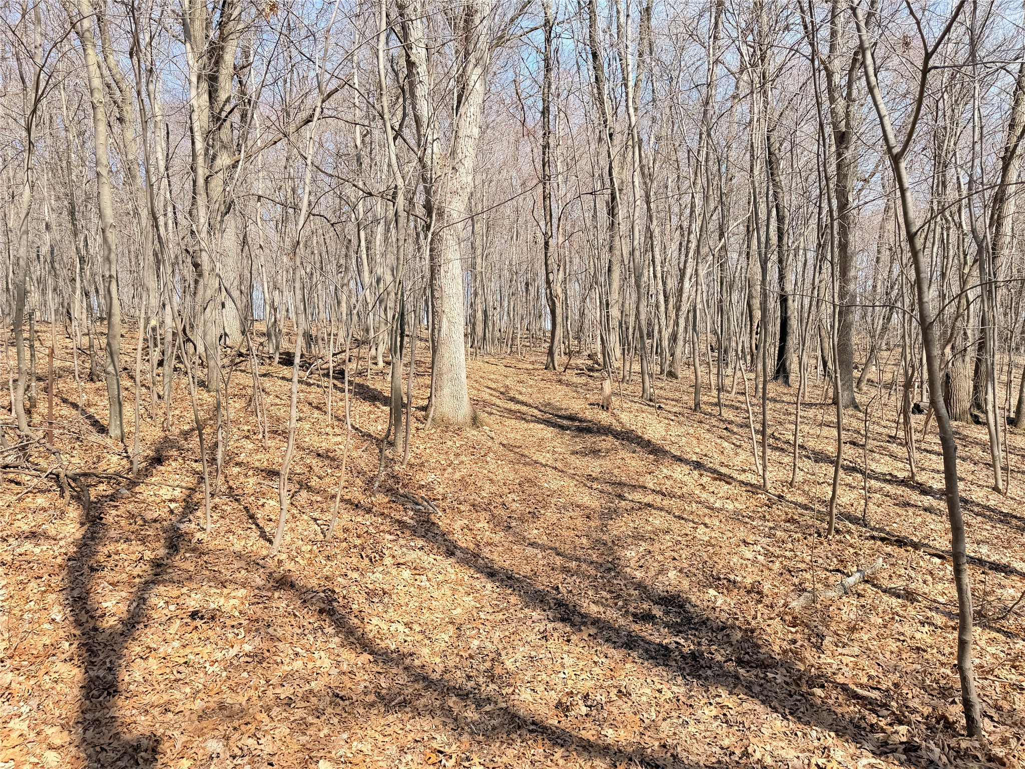 Lot 7 Big Lake Drive Osceola WI 54020 1599901 image6
