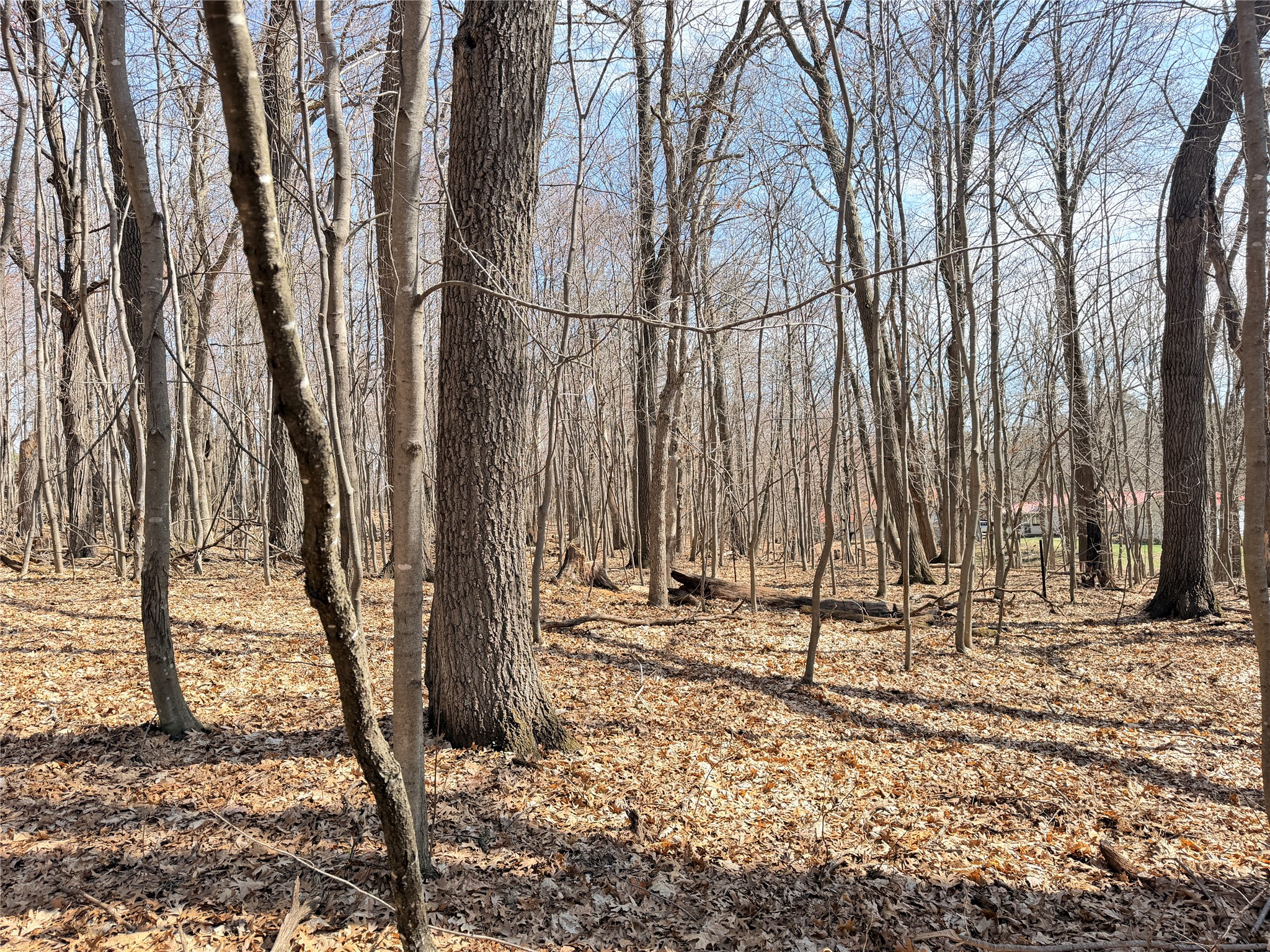 Lot 7 Big Lake Drive Osceola WI 54020 1599901 image8