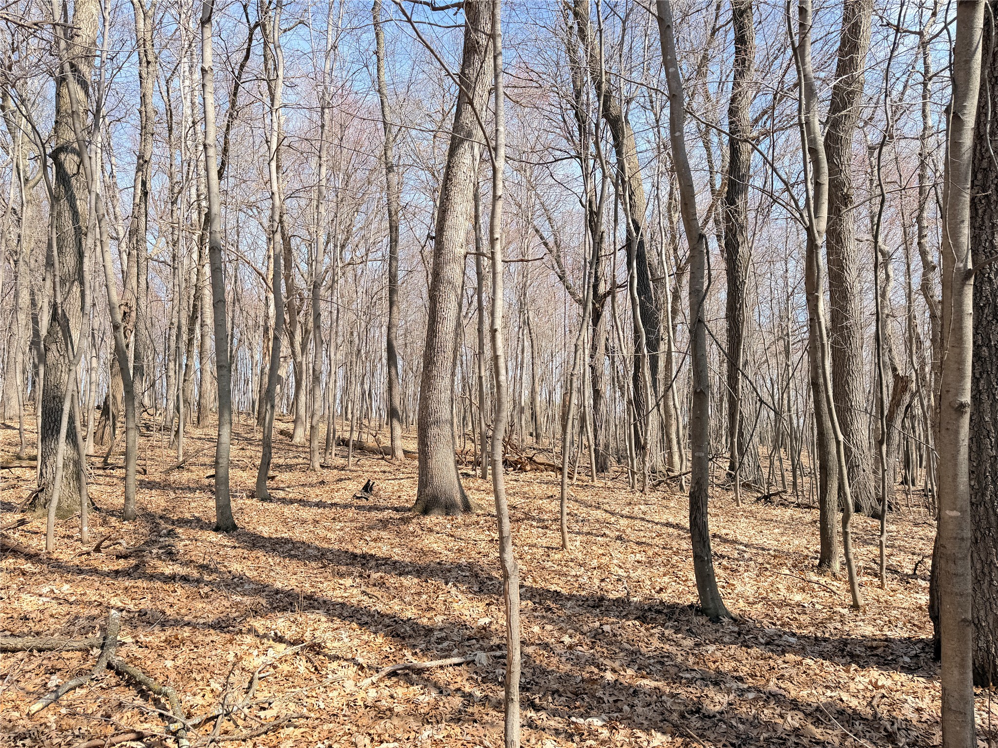 Lot 7 Big Lake Drive Osceola WI 54020 1599901 image9