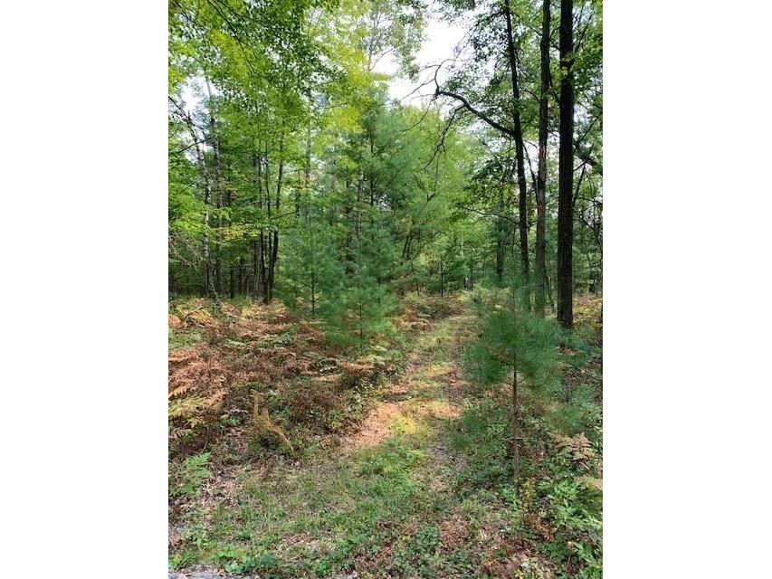 Lot 7 County Road J Neillsville WI 54456 1572706 image1