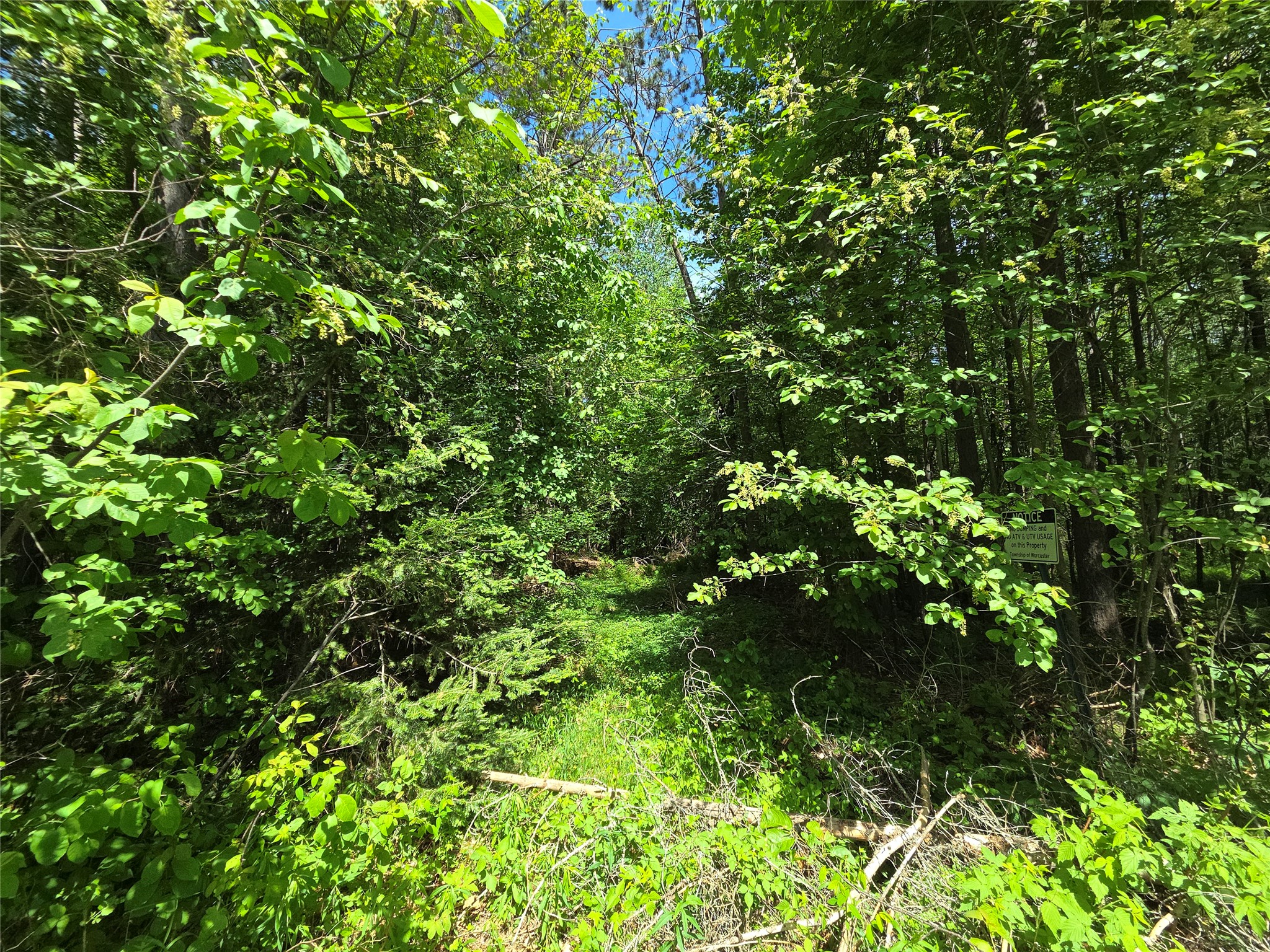Lot 7 E Solberg Lake Road Phillips WI 54555 1601656 image1
