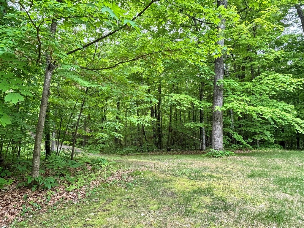 Lot 7 Fox Ridge Pass Danbury WI 54830 1596684 image14