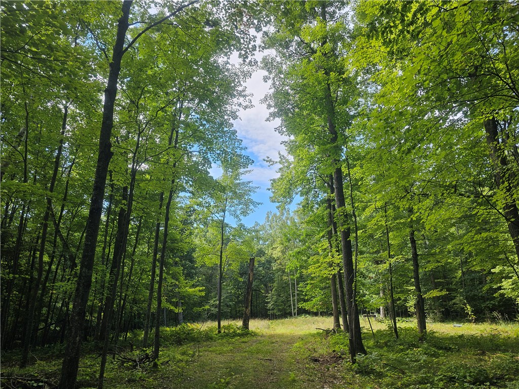 Lot 7 Ken Can Lane Webster WI 54893 1595418 image1