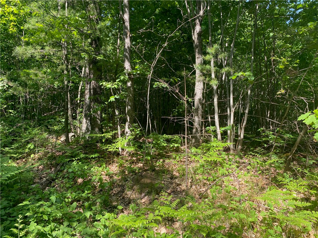 Lot 7 Secluded Trail Hayward WI 54843 1574035 image10