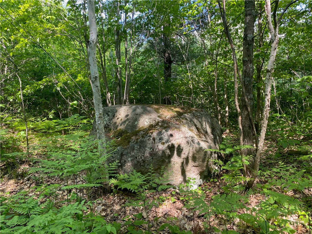 Lot 7 Secluded Trail Hayward WI 54843 1574035 image11