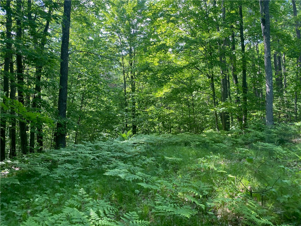 Lot 7 Secluded Trail Hayward WI 54843 1574035 image12