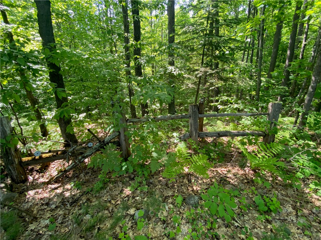Lot 7 Secluded Trail Hayward WI 54843 1574035 image13