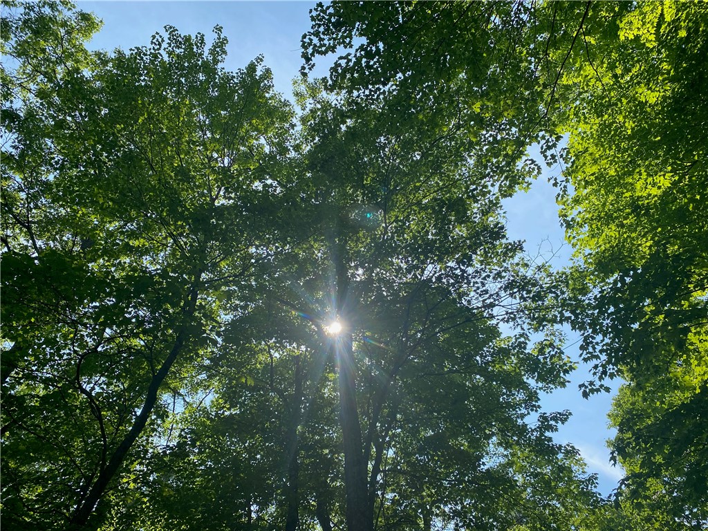 Lot 7 Secluded Trail Hayward WI 54843 1574035 image14