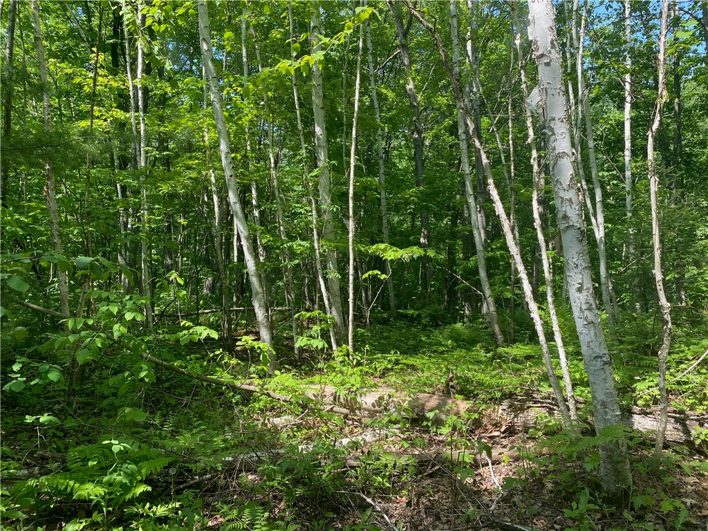 Lot 7 Secluded Trail Hayward WI 54843 1574035 image24
