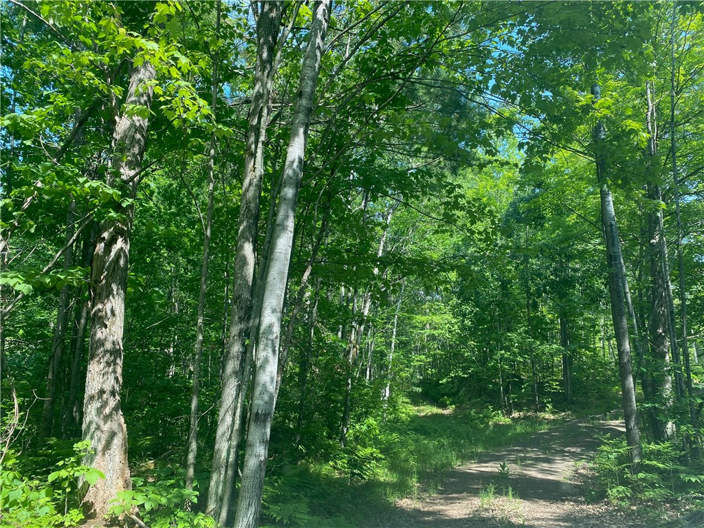 Lot 7 Secluded Trail Hayward WI 54843 1574035 image25