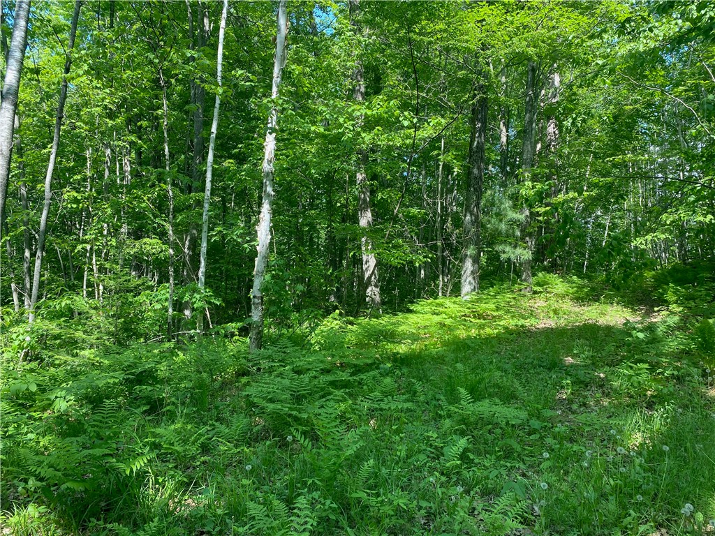 Lot 7 Secluded Trail Hayward WI 54843 1574035 image26