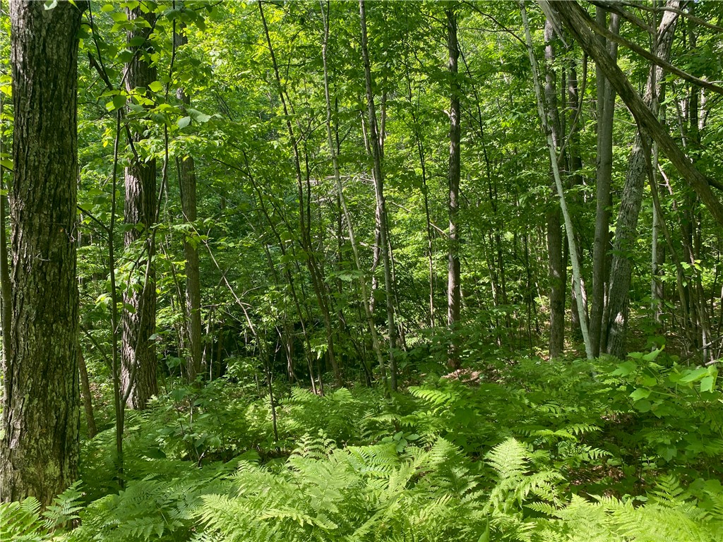 Lot 7 Secluded Trail Hayward WI 54843 1574035 image28