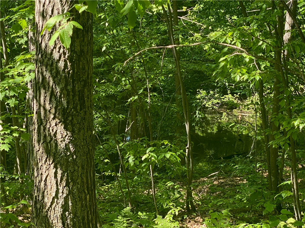 Lot 7 Secluded Trail Hayward WI 54843 1574035 image29