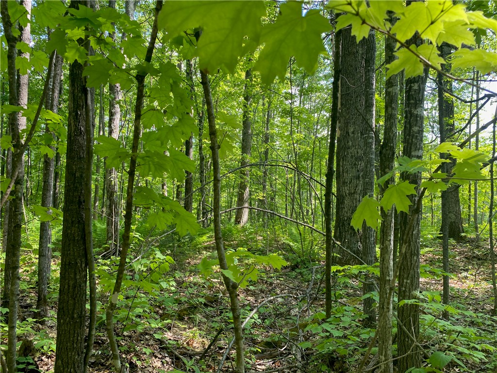 Lot 7 Secluded Trail Hayward WI 54843 1574035 image32