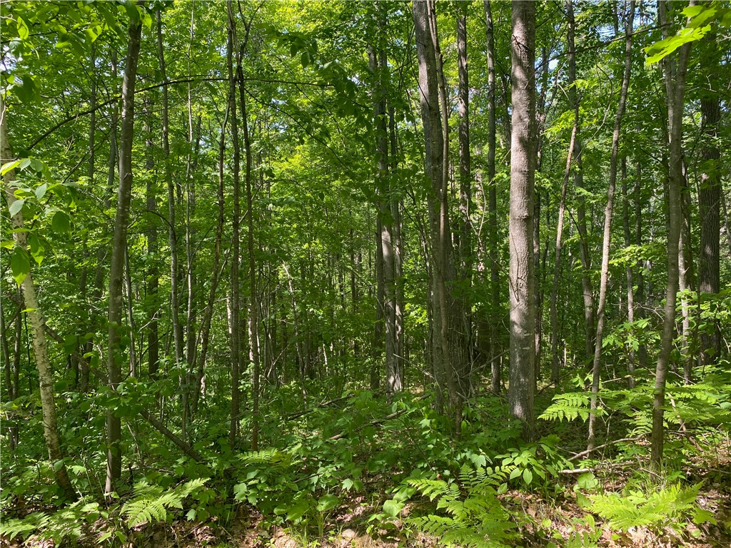 Lot 7 Secluded Trail Hayward WI 54843 1574035 image33