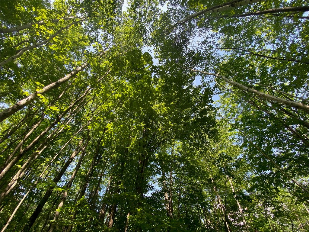 Lot 7 Secluded Trail Hayward WI 54843 1574035 image34