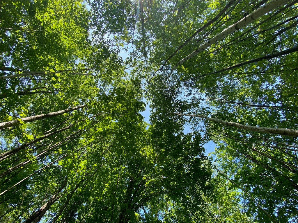 Lot 7 Secluded Trail Hayward WI 54843 1574035 image35