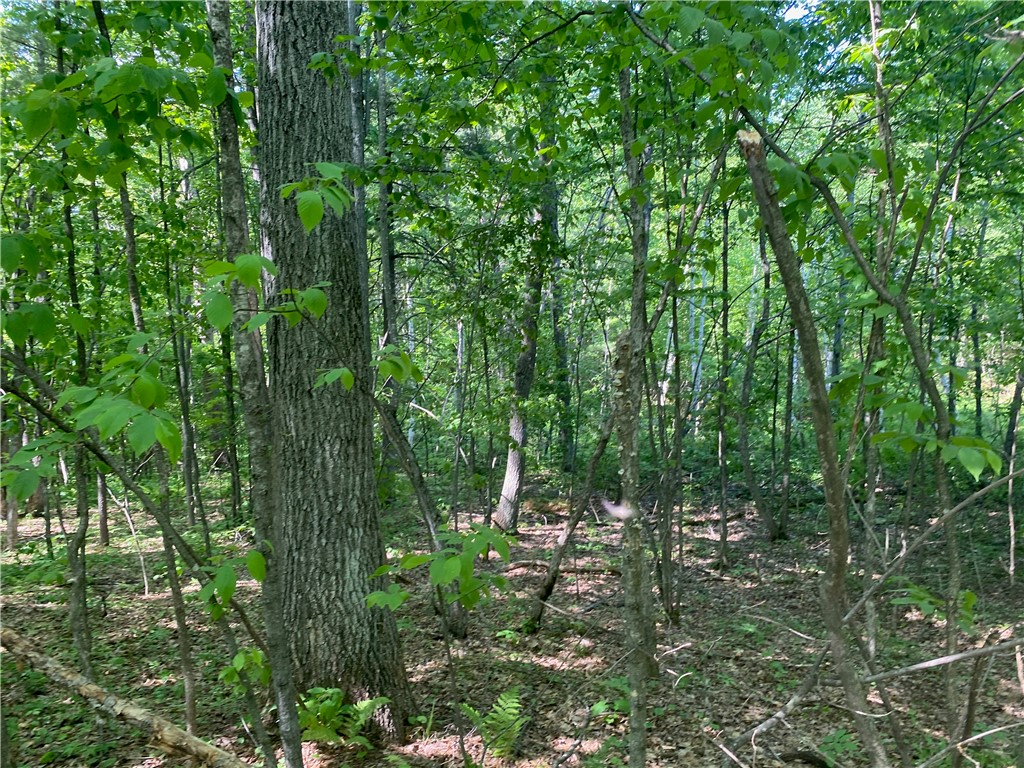 Lot 7 Secluded Trail Hayward WI 54843 1574035 image36
