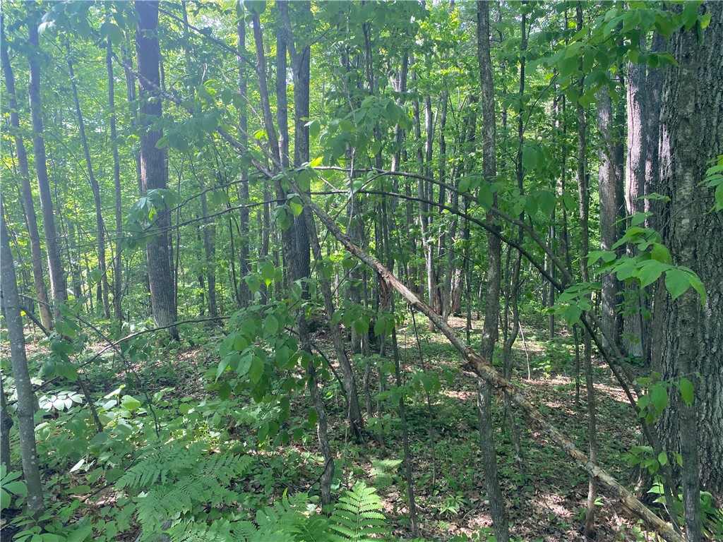 Lot 7 Secluded Trail Hayward WI 54843 1574035 image37
