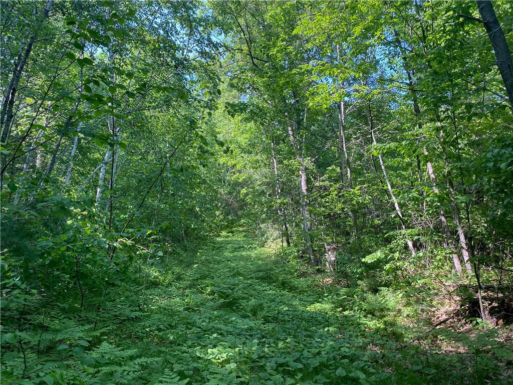 Lot 7 Secluded Trail Hayward WI 54843 1574035 image38