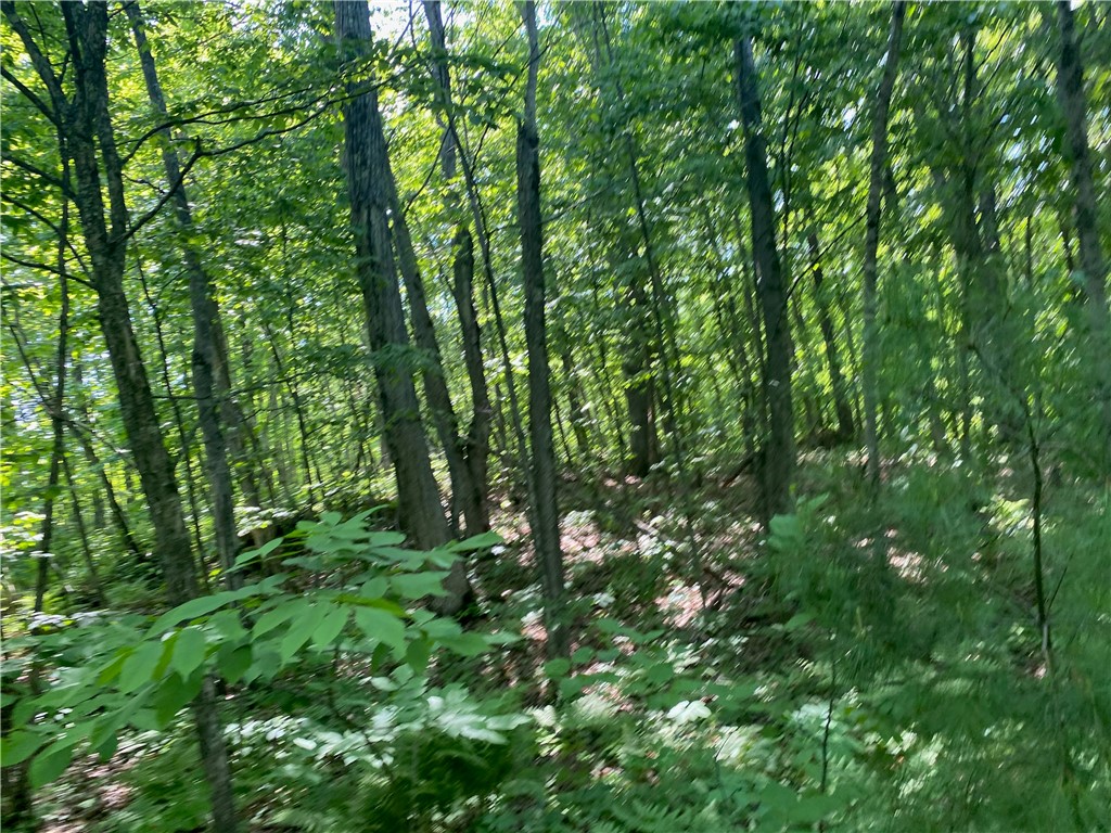Lot 7 Secluded Trail Hayward WI 54843 1574035 image39