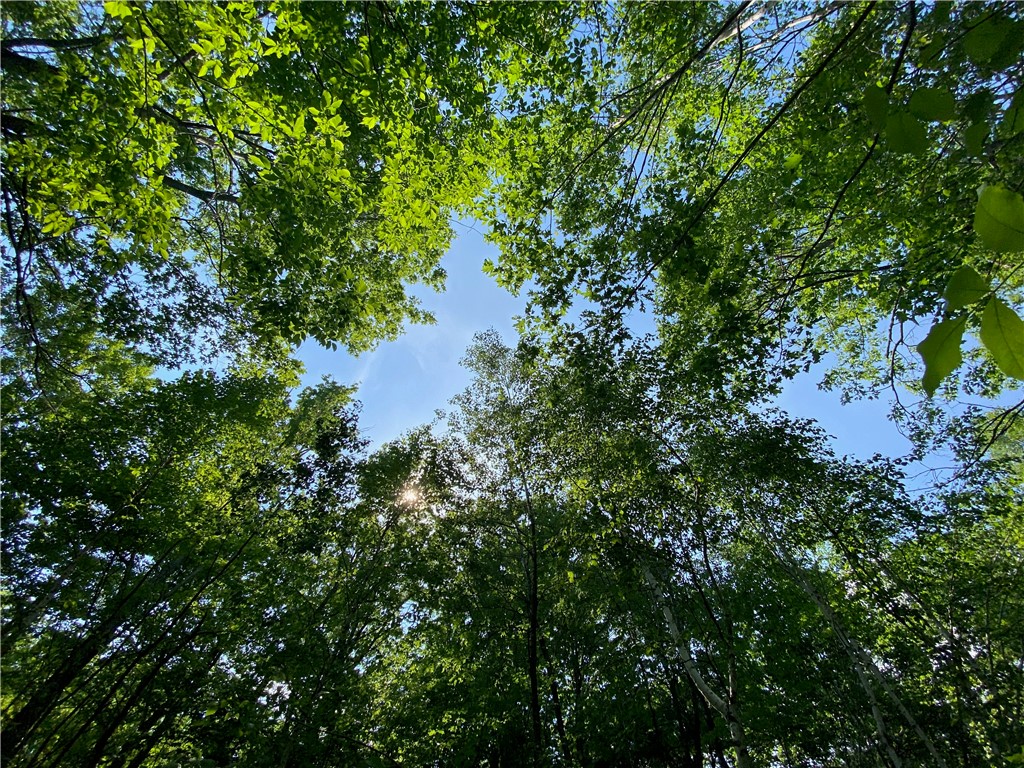 Lot 7 Secluded Trail Hayward WI 54843 1574035 image40