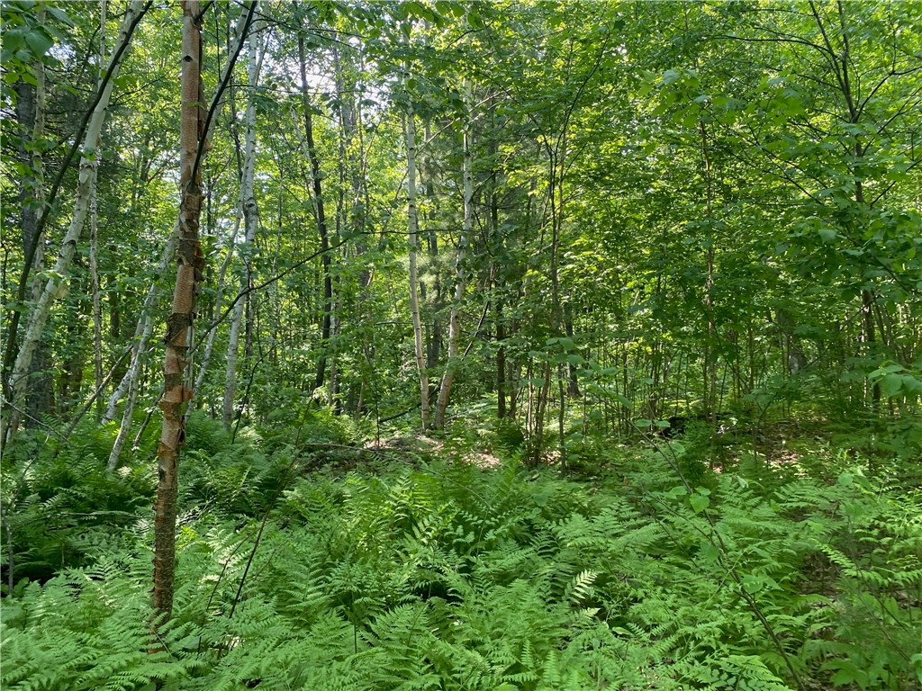 Lot 7 Secluded Trail Hayward WI 54843 1574035 image41